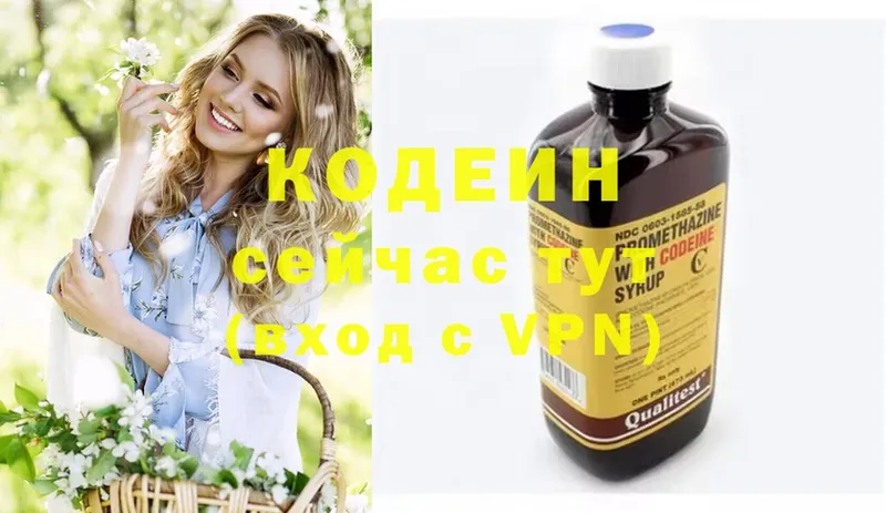 купить закладку  Серов  Кодеиновый сироп Lean Purple Drank 